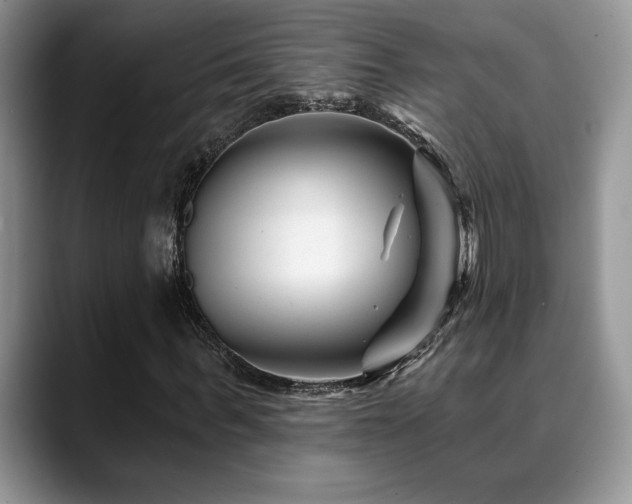 X0000088890963200706081245