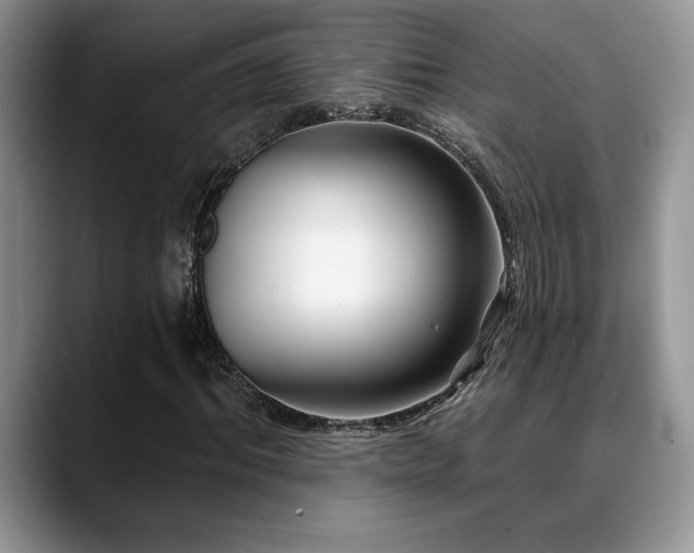 X0000088890964200706081245