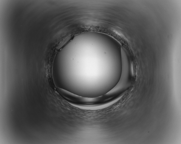 X0000088890965200706081245