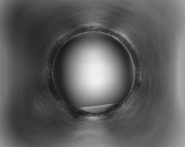 X0000088890967200706081245