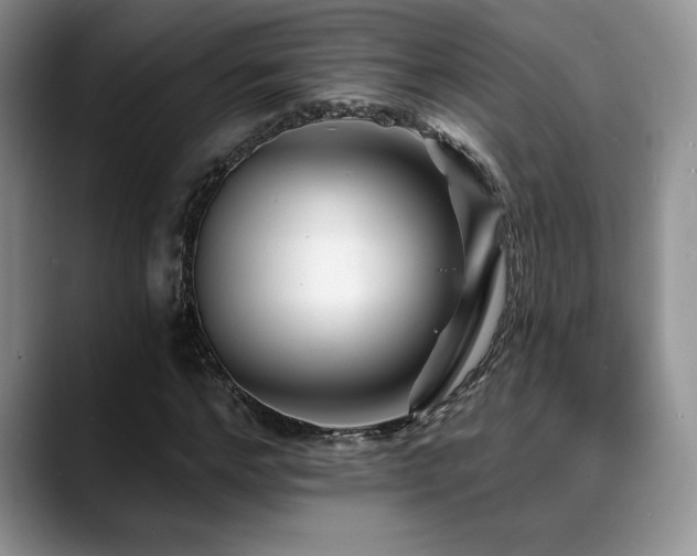 X0000088890968200706081245