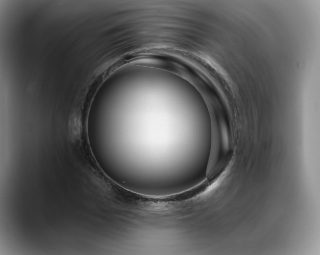 X0000088890969200706081245