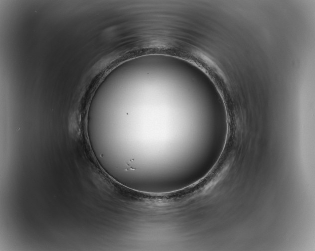 X0000088890970200706081245