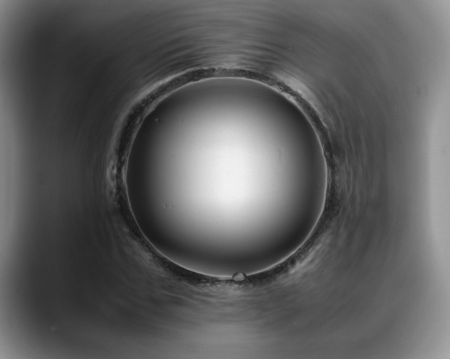 X0000088890971200706081245