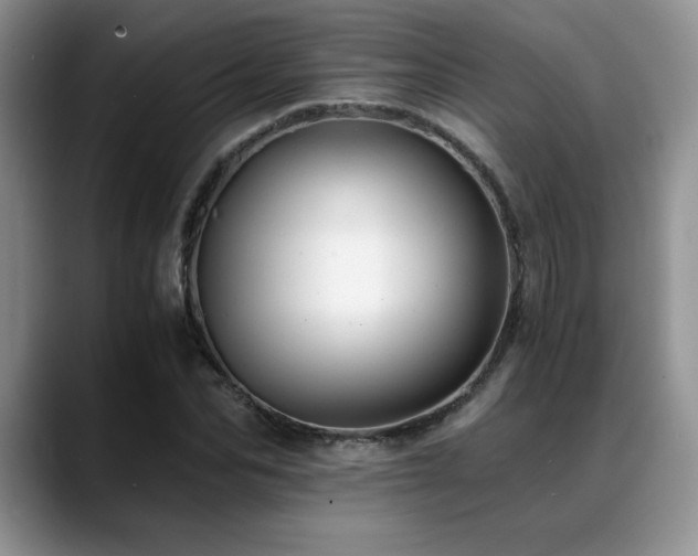 X0000088890974200706081245