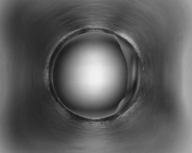 X0000088890976200706081245