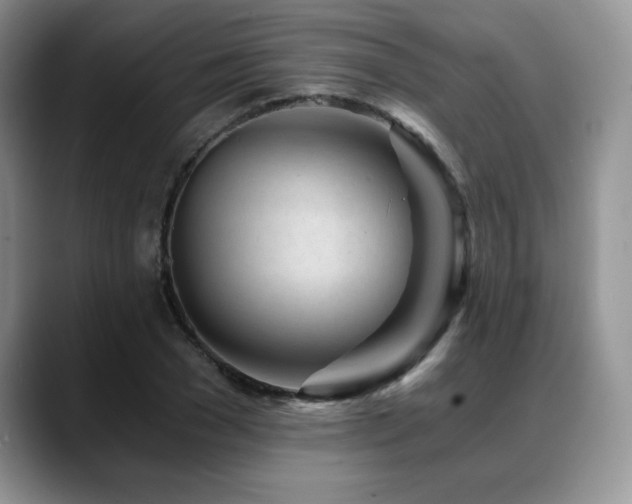 X0000088890977200706081245