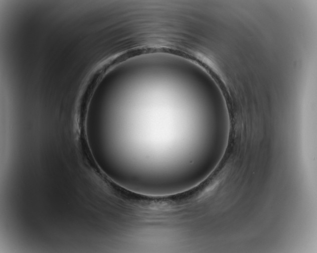 X0000088890979200706081245