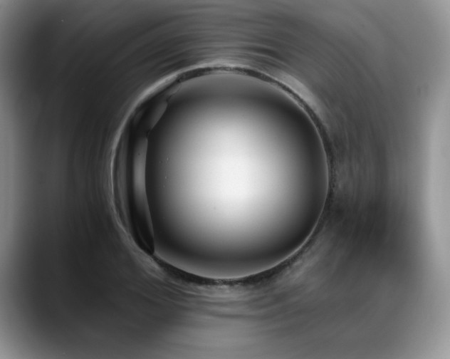 X0000088890980200706081245