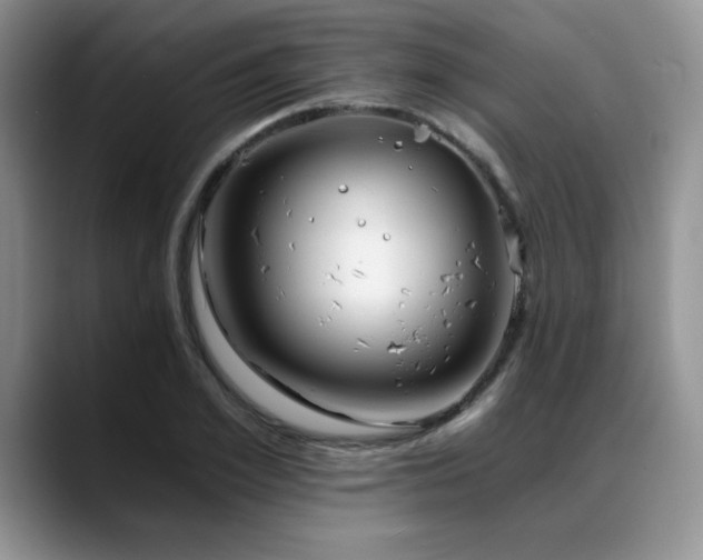 X0000088890981200706081245