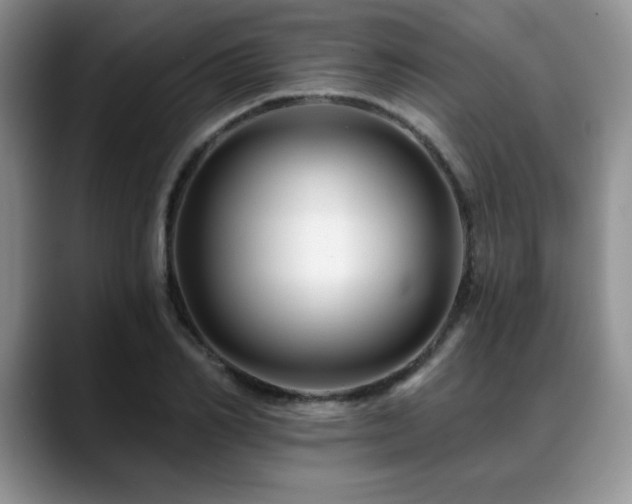 X0000088890982200706081245