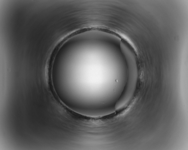 X0000088890983200706081245