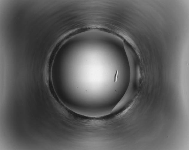 X0000088890984200706081245