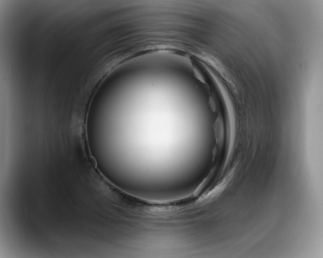 X0000088890985200706081245