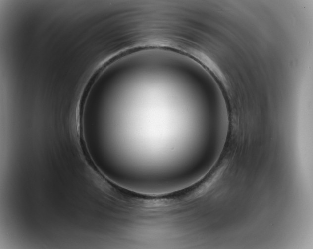 X0000088890988200706081245