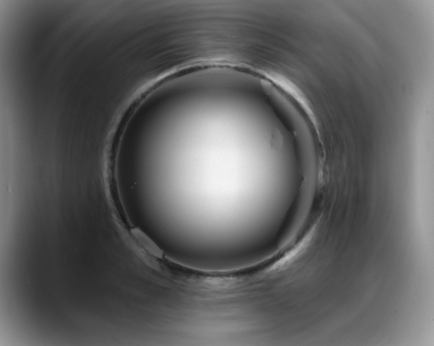 X0000088890989200706081245
