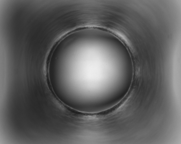 X0000088890990200706081245