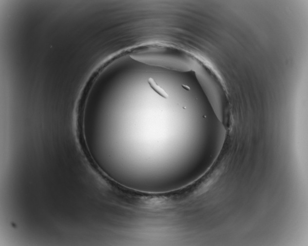 X0000088890991200706081245