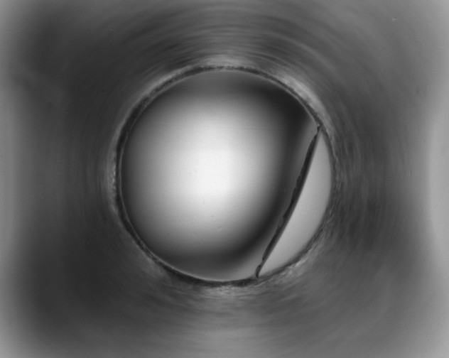 X0000088890992200706081245