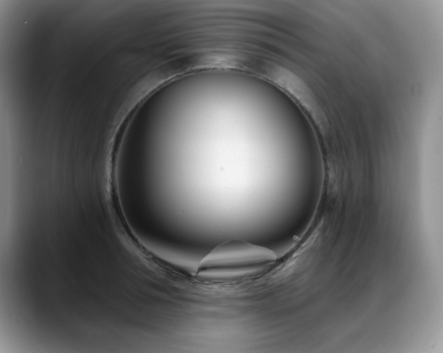 X0000088890994200706081245