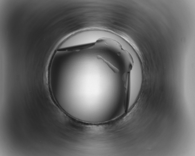 X0000088890996200706081245