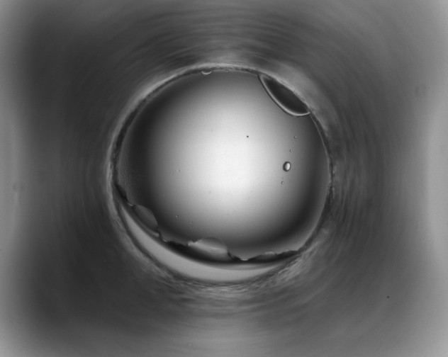 X0000088890998200706081244
