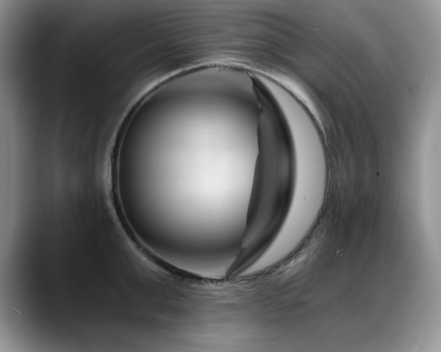 X0000088890999200706081244