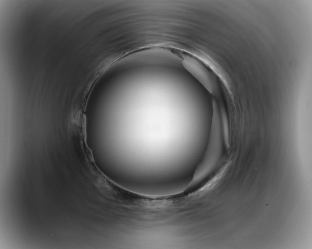X0000088891001200706081244