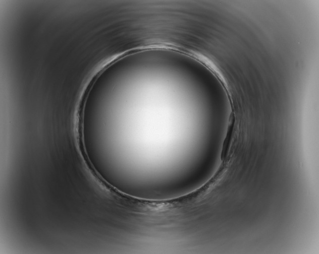 X0000088891003200706081244