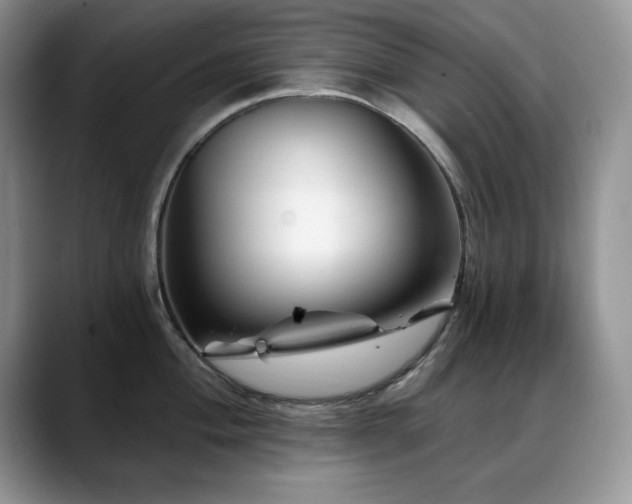 X0000088891004200706081244