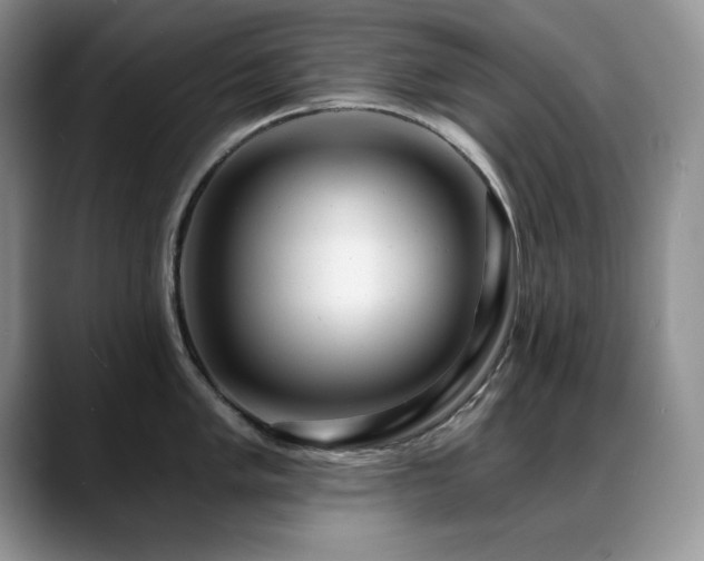 X0000088891005200706081244