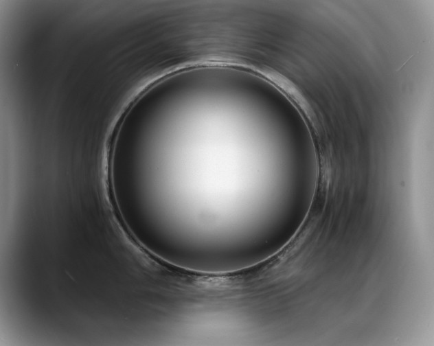 X0000088891006200706081244