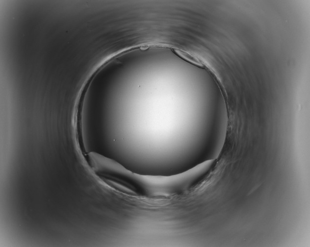 X0000088891007200706081244