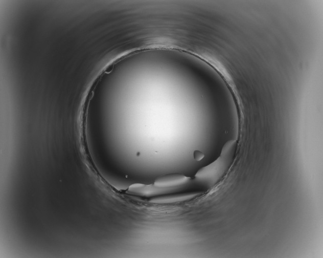 X0000088891008200706081244