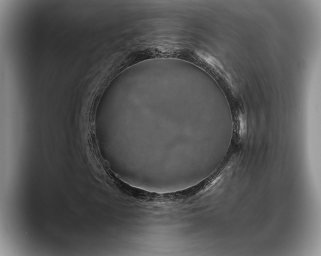 X0000088891009200706081244