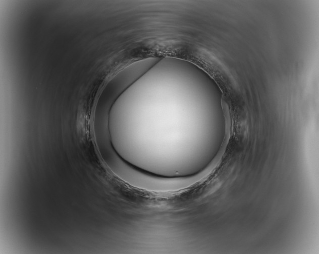 X0000088891010200706081244