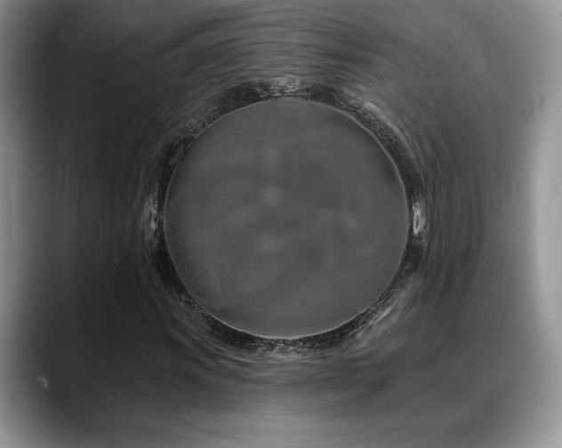 X0000088891011200706081244