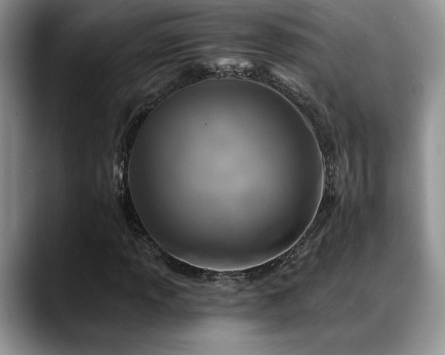 X0000088891013200706081244
