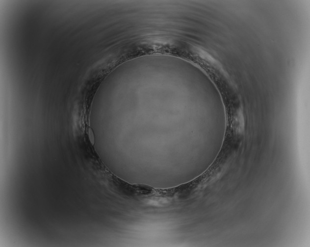 X0000088891014200706081244