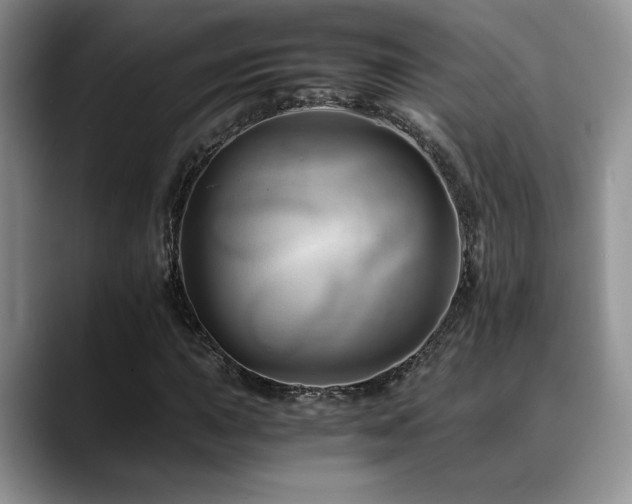 X0000088891015200706081244