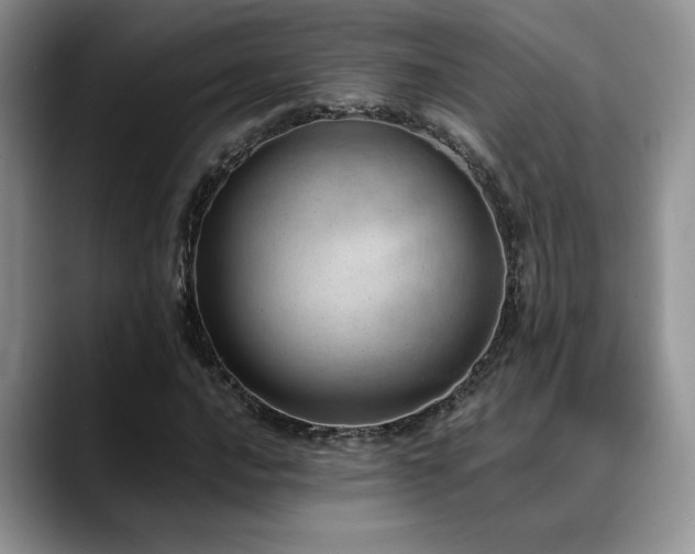 X0000088891016200706081244