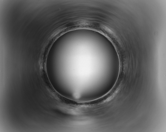X0000088891017200706081244