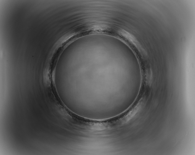 X0000088891018200706081244