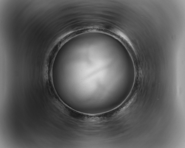 X0000088891019200706081244