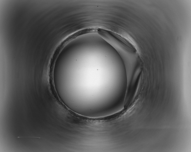 X0000088891020200706081244