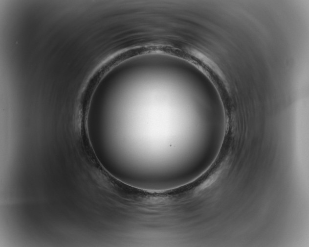 X0000088891021200706081244