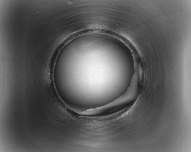 X0000088891022200706081244