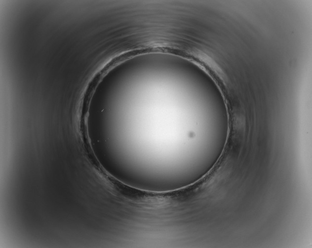 X0000088891023200706081244