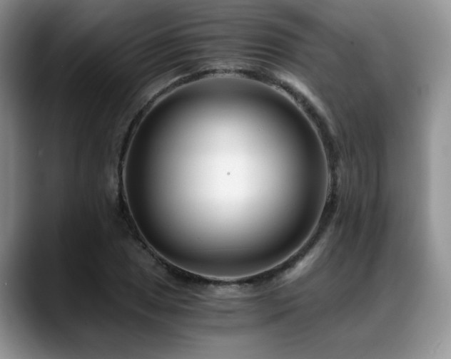 X0000088891025200706081244