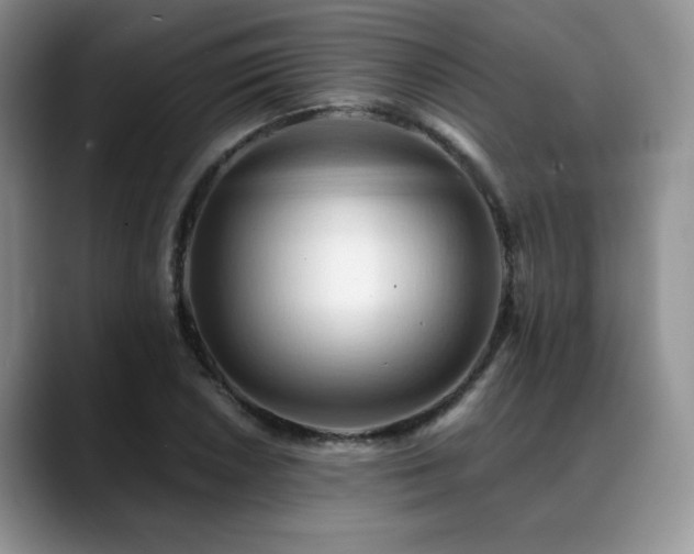 X0000088891026200706081244